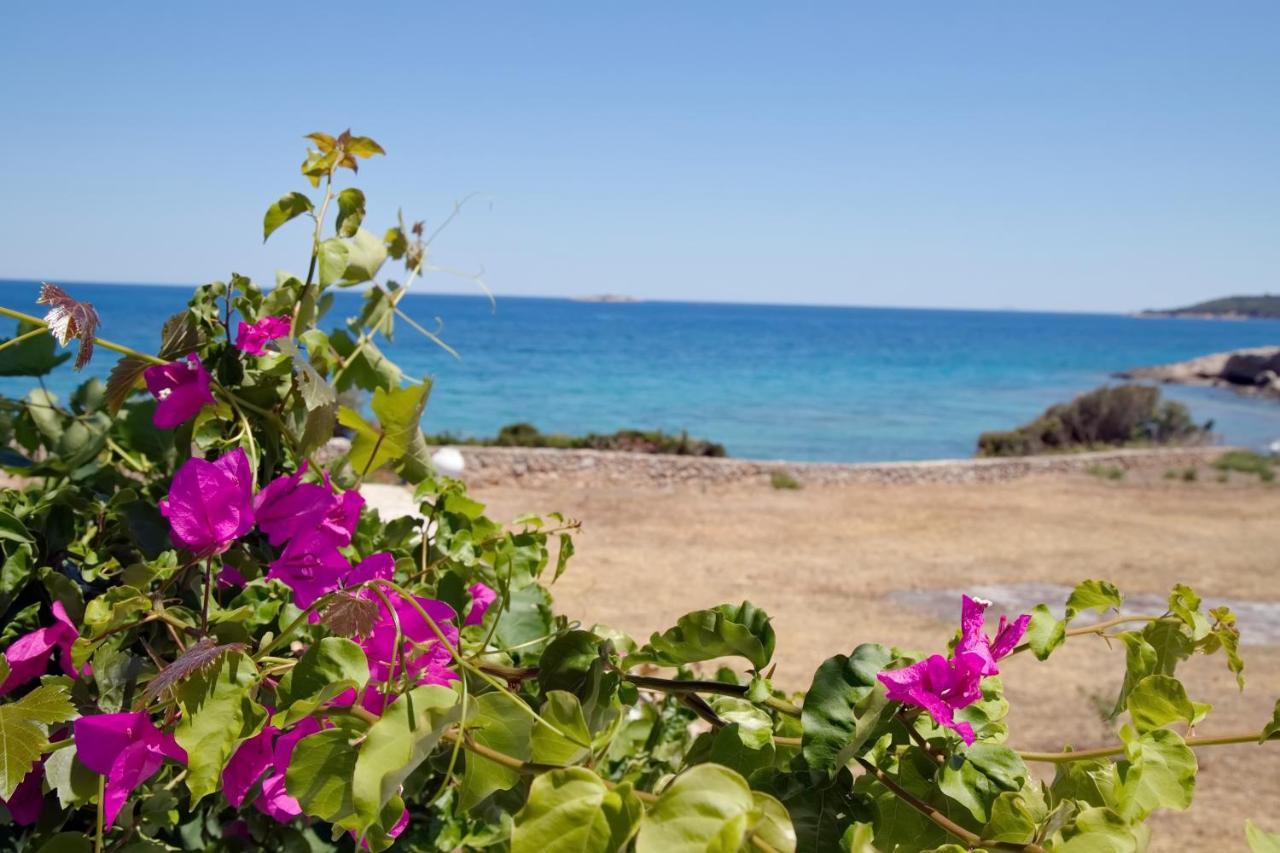 Aroura Homes 4Br Beachfront Villa Spetses Town Ngoại thất bức ảnh