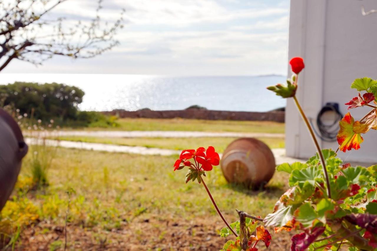 Aroura Homes 4Br Beachfront Villa Spetses Town Ngoại thất bức ảnh